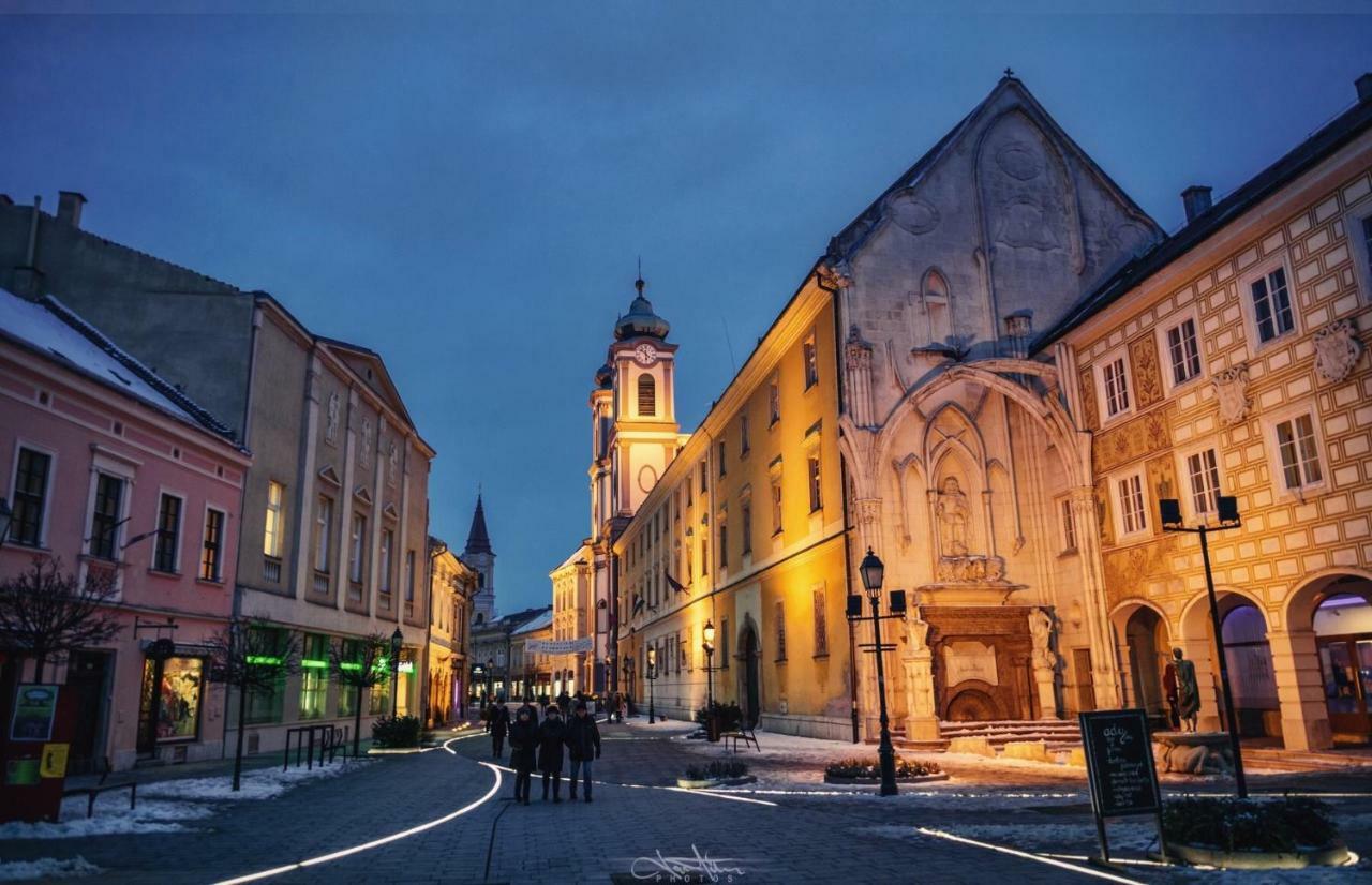 Korona Apartman Szekesfehervar Exterior photo